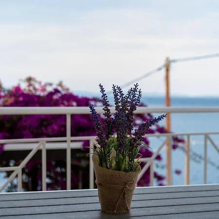 Anesis Seaview 1 Apartman *